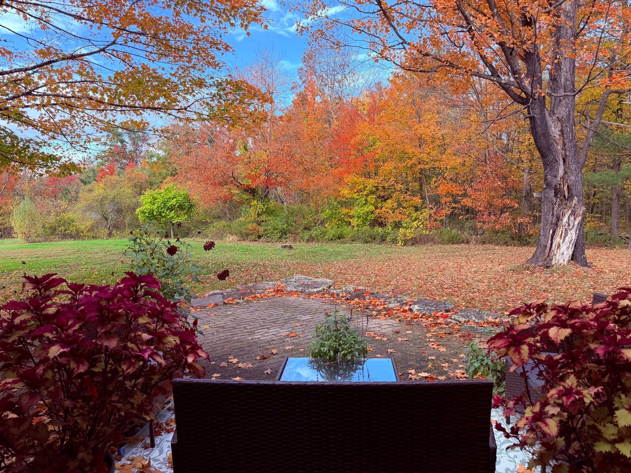 82 Hardwick Rd, Petersham, MA, 82 Hardwick Rd, Petersham, MA Photo #38