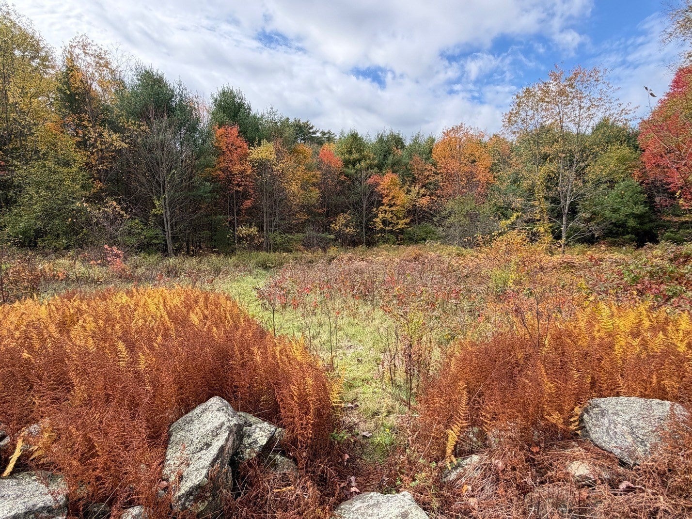 82 Hardwick Rd, Petersham, MA, 82 Hardwick Rd, Petersham, MA Photo #35