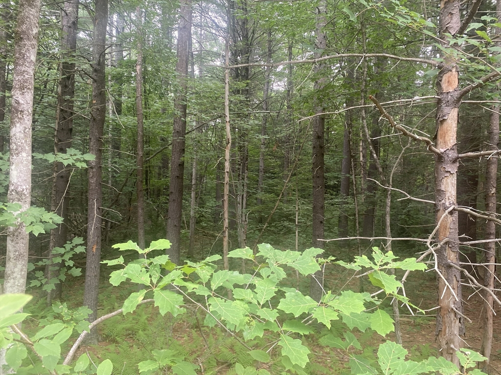 132 Crooked Ledge Rd