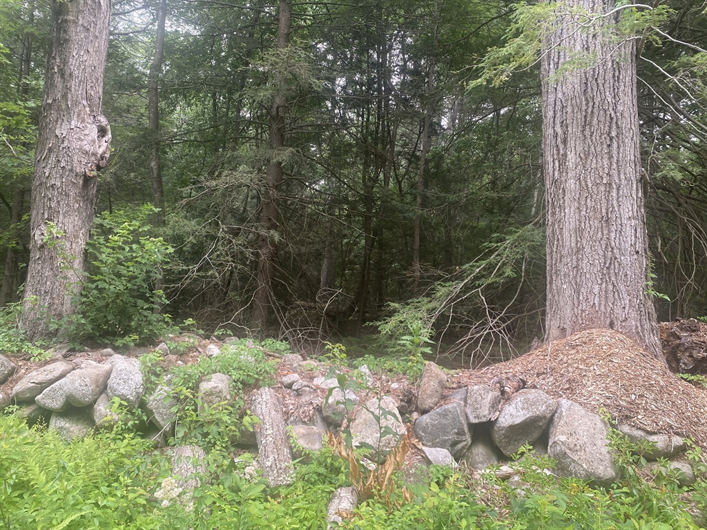 132 Crooked Ledge Rd