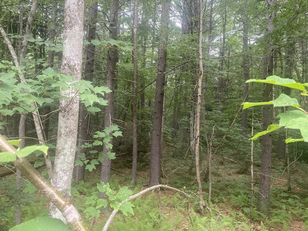 132 Crooked Ledge Rd