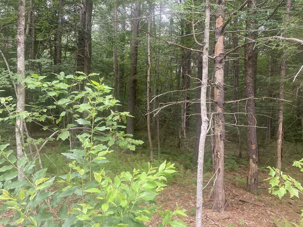 132 Crooked Ledge Rd