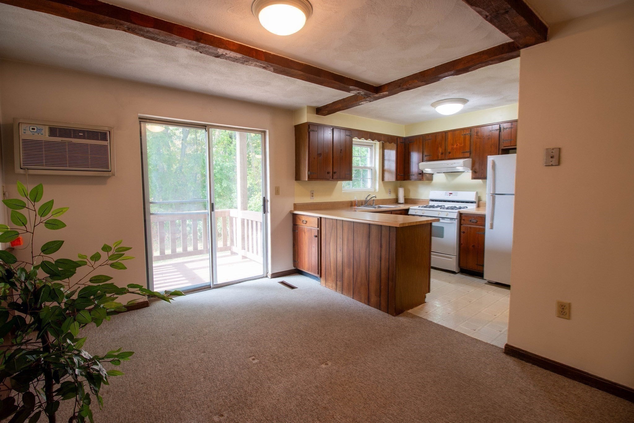 33 Sherburne Ave #3, Tyngsborough, MA Photo #9