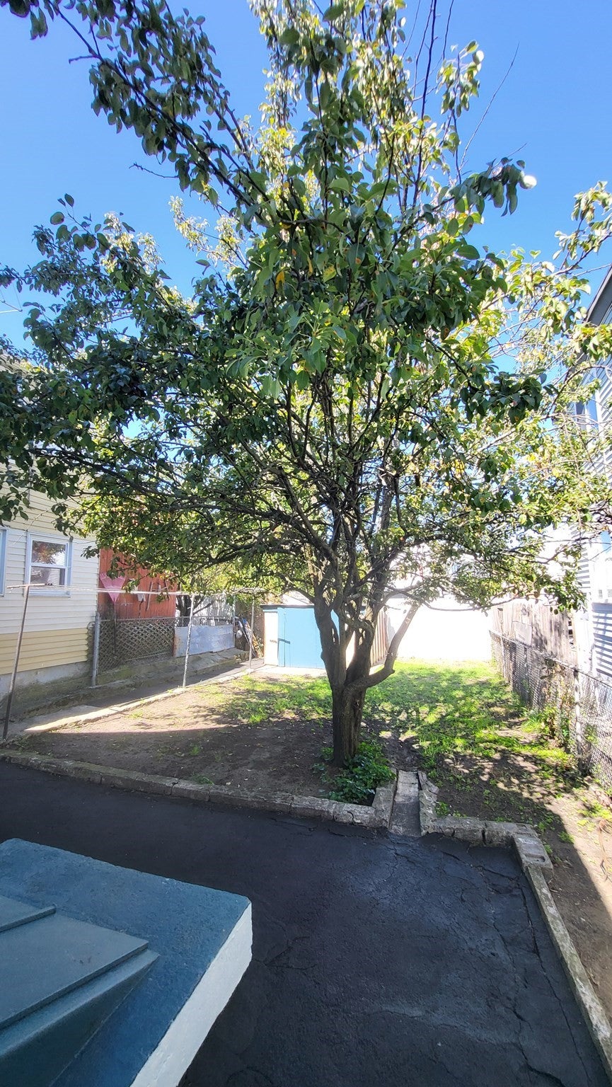 46 North Street, Lowell, MA, 46 North Street, Lowell, MA Photo #2