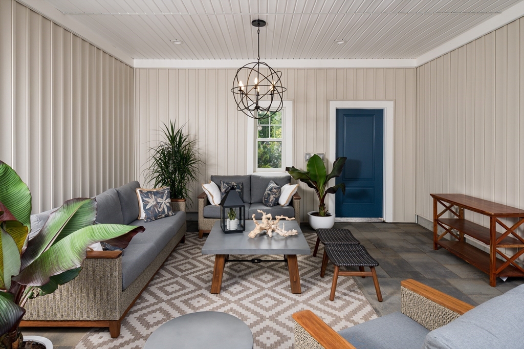 61 Bentgrass Mist 61