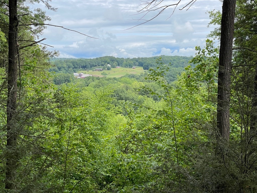 Photo 1 of 2 of 105 Webber Road land