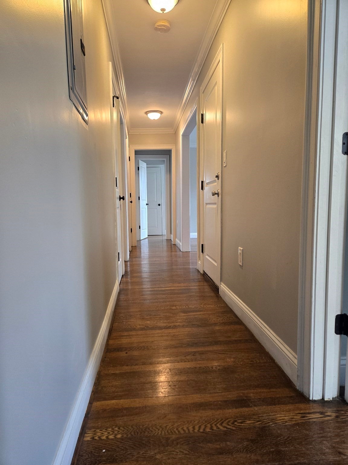 4803 Washington St #1, Boston, MA, 4803 Washington St #1, Boston, MA Photo #6