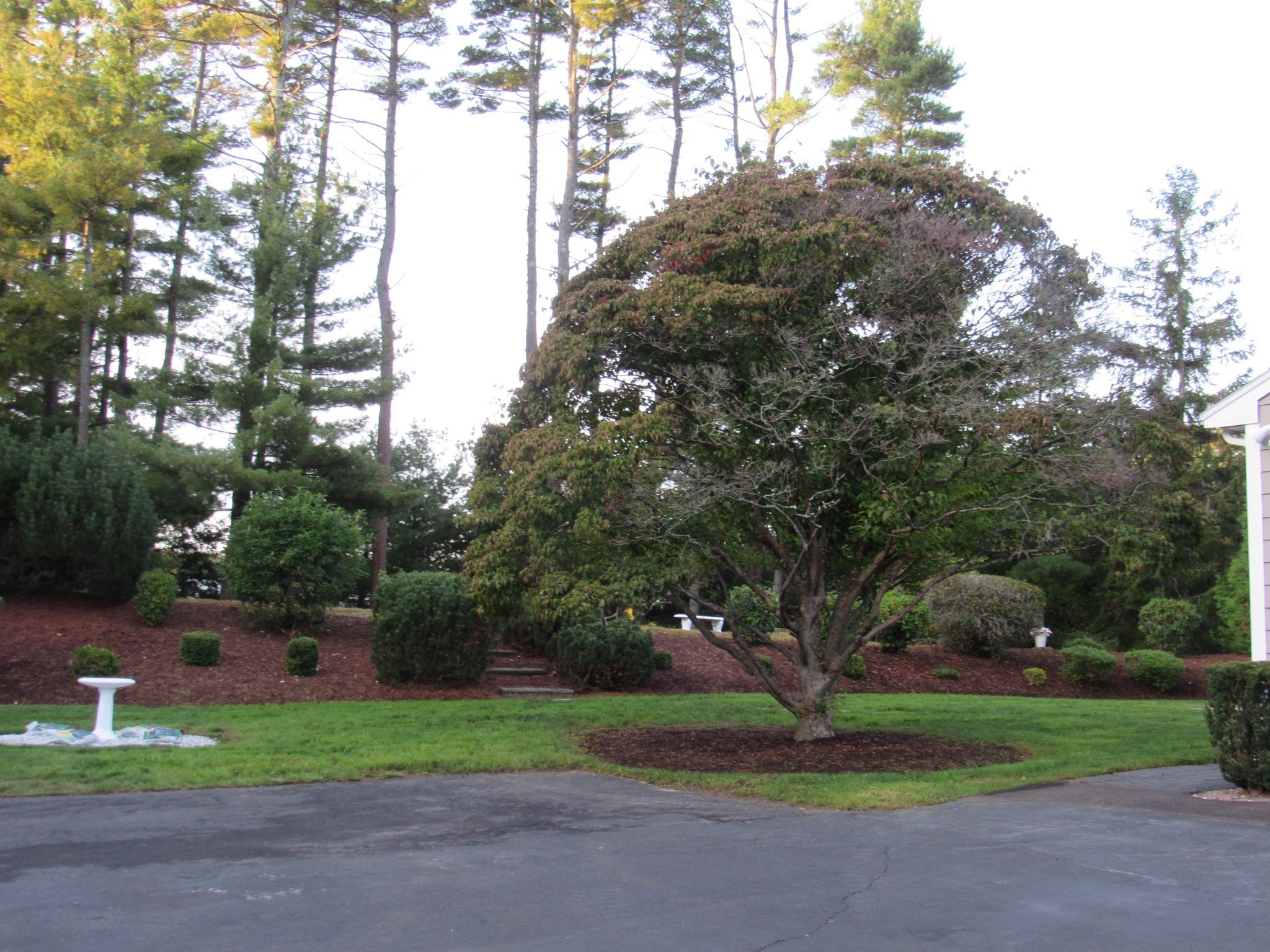 14 Pinegrove Rd