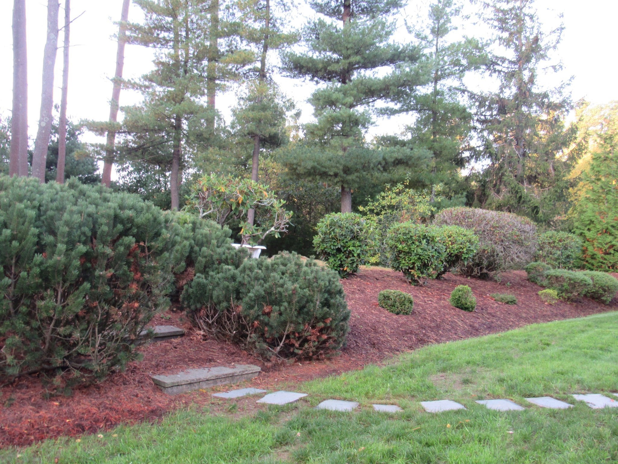 14 Pinegrove Rd