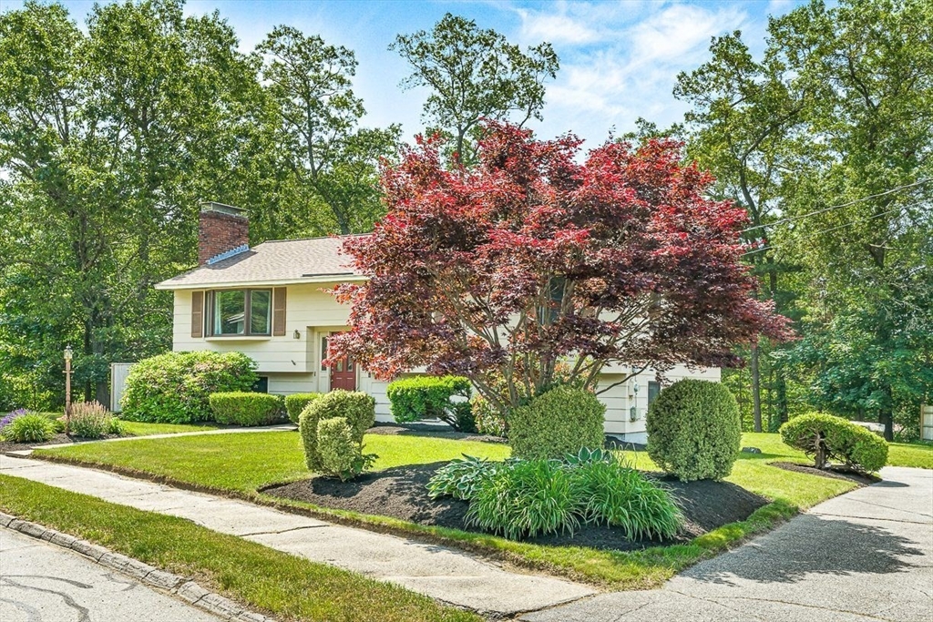 15 Stewart Road