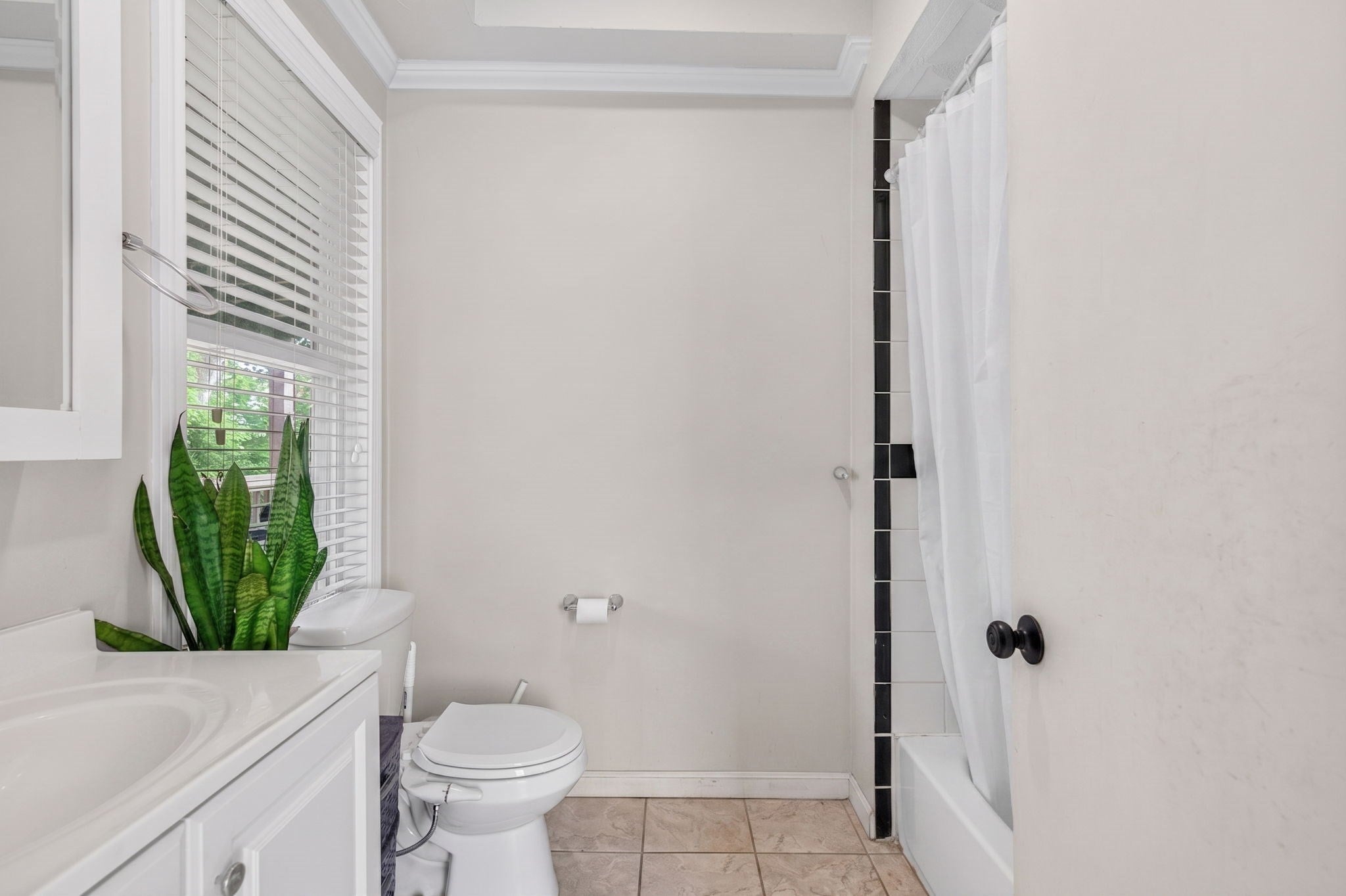 12 Schiller St, Boston, MA, 12 Schiller St, Boston, MA Photo #16