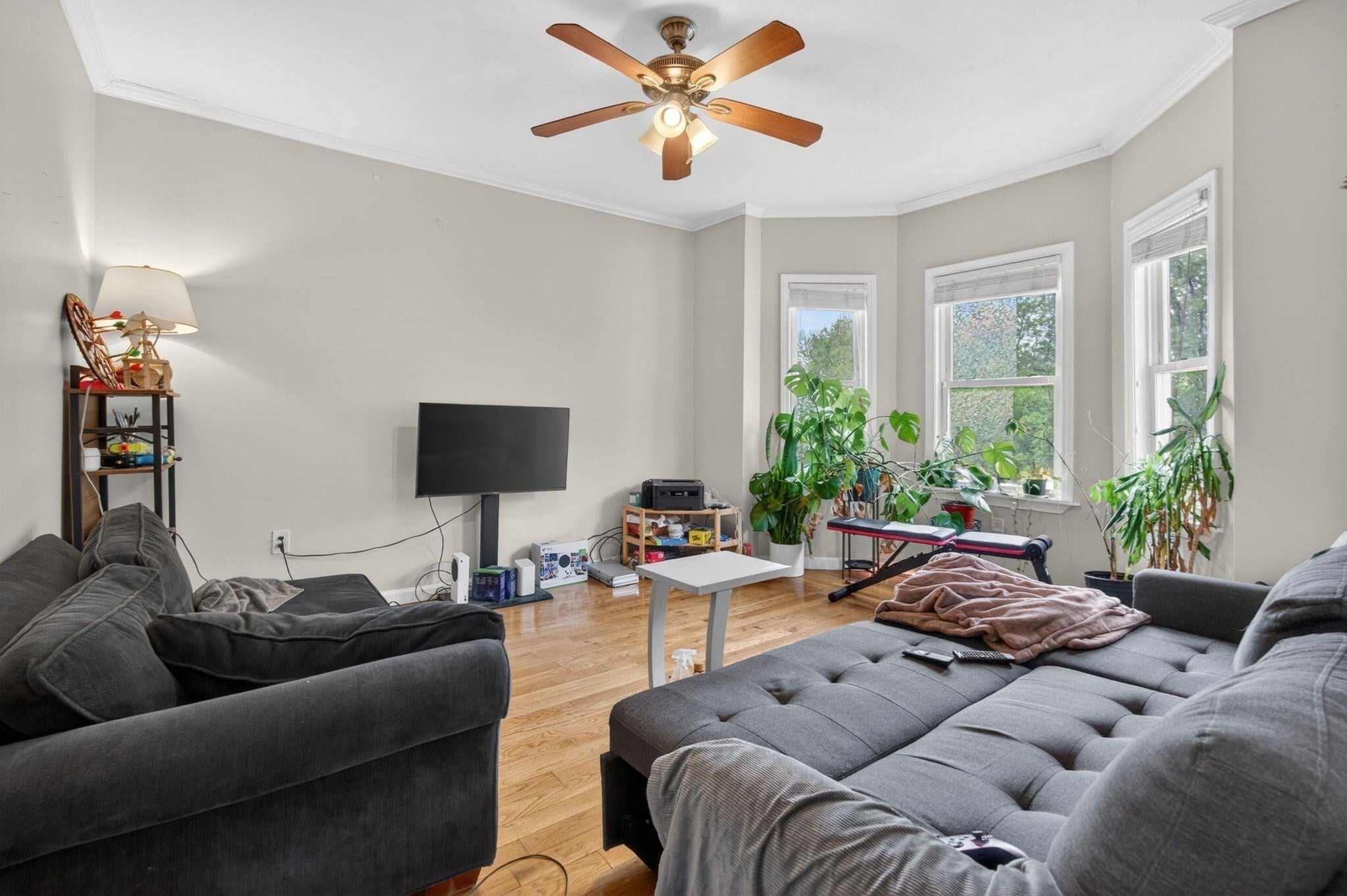 12 Schiller St, Boston, MA, 12 Schiller St, Boston, MA Photo #17
