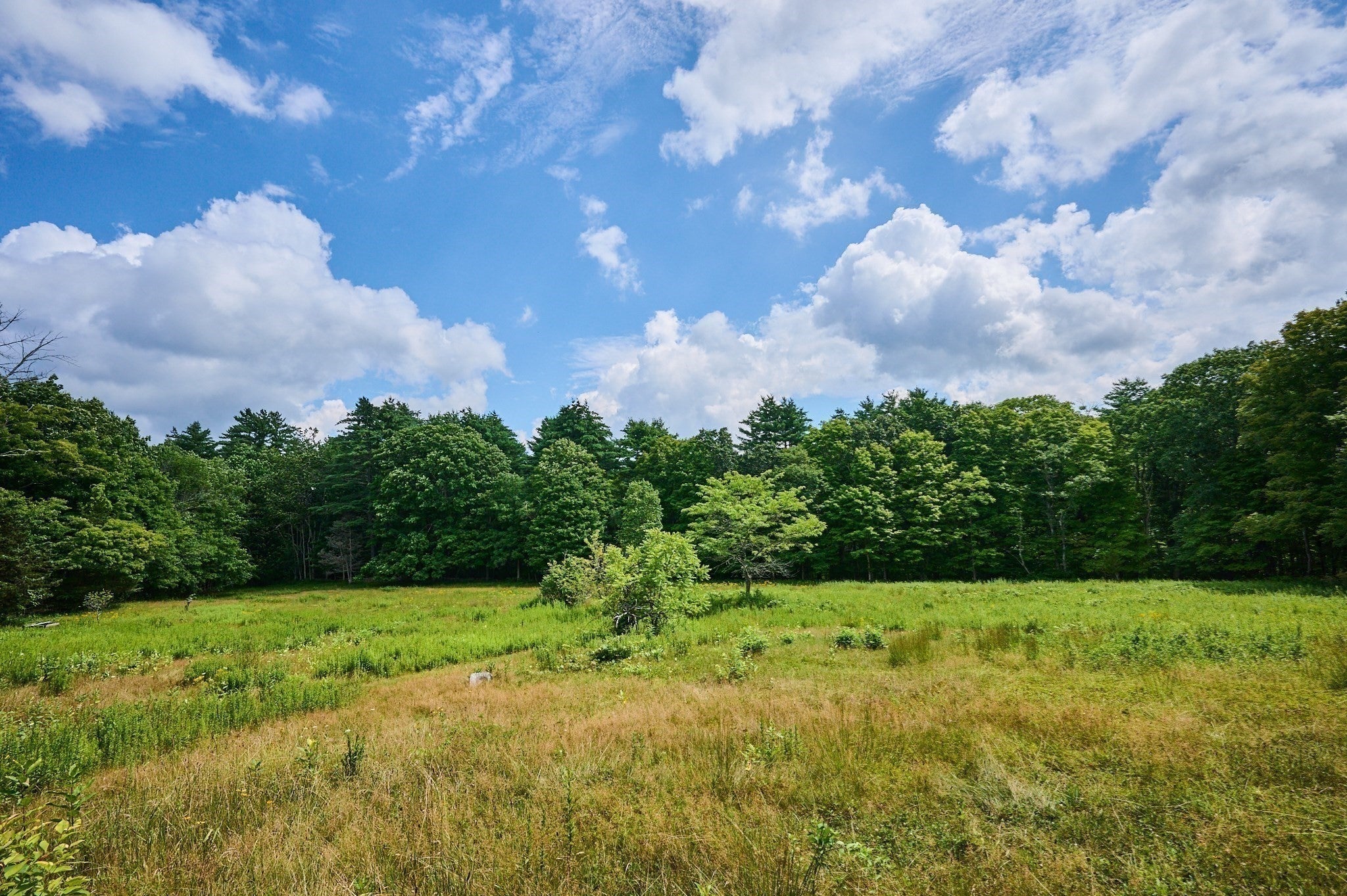 65 Montague Road, Leverett, MA Photo #3