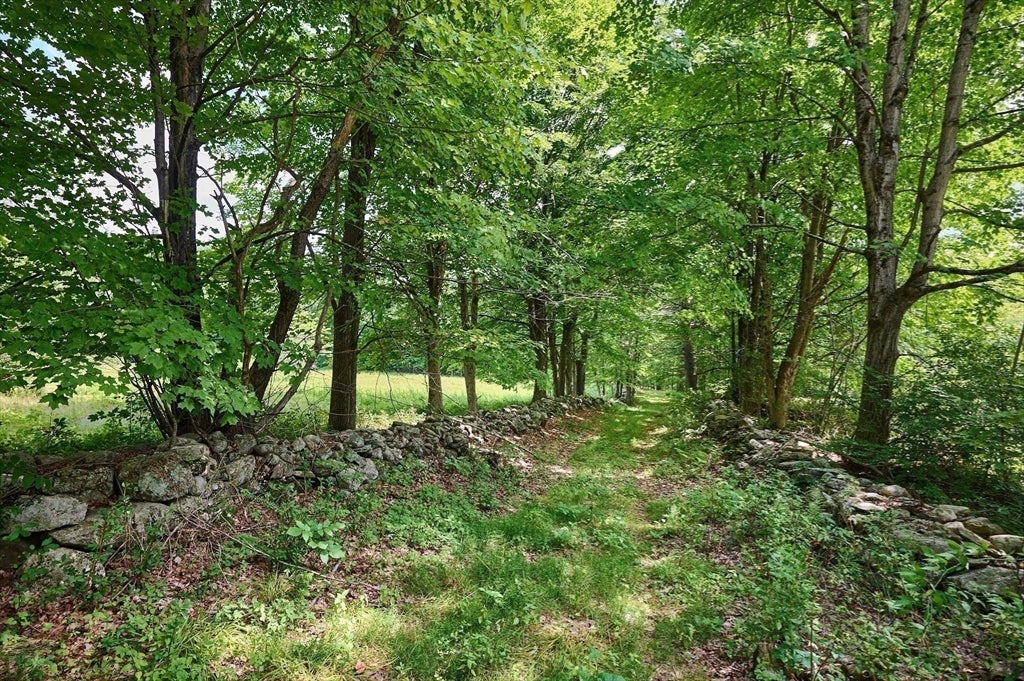 65 Montague Road, Leverett, MA, 65 Montague Road, Leverett, MA Photo #8