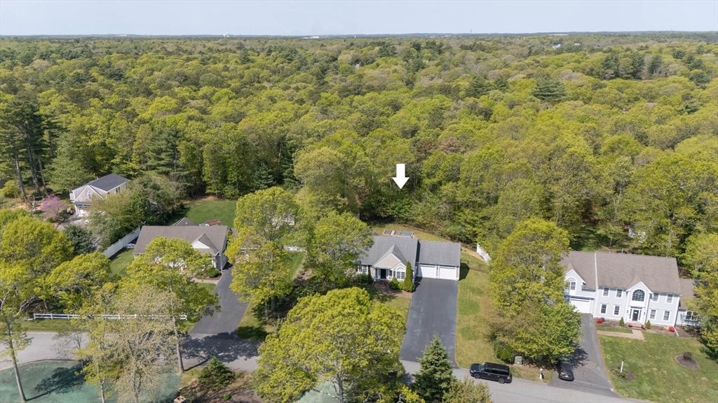 12 Sheffield Pl