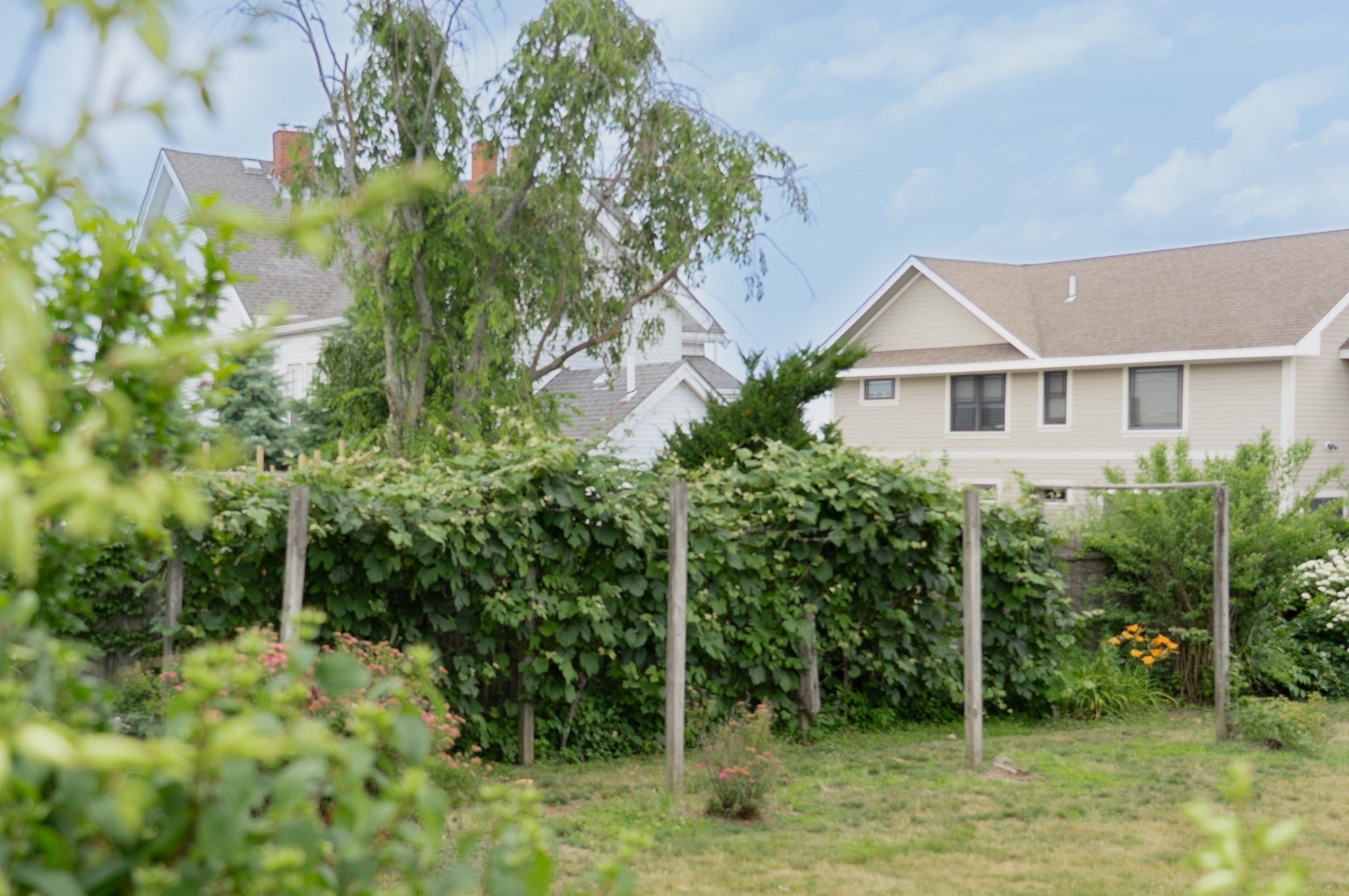133 Cushman Ave, Revere, MA, 133 Cushman Ave, Revere, MA Photo #18