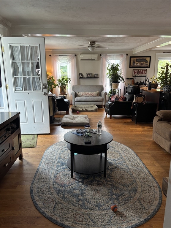 20 Osgood Ave