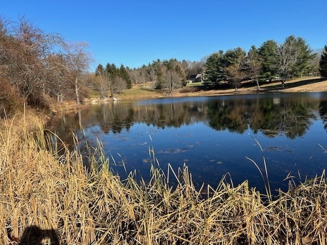 14 Fiske Pond Drive