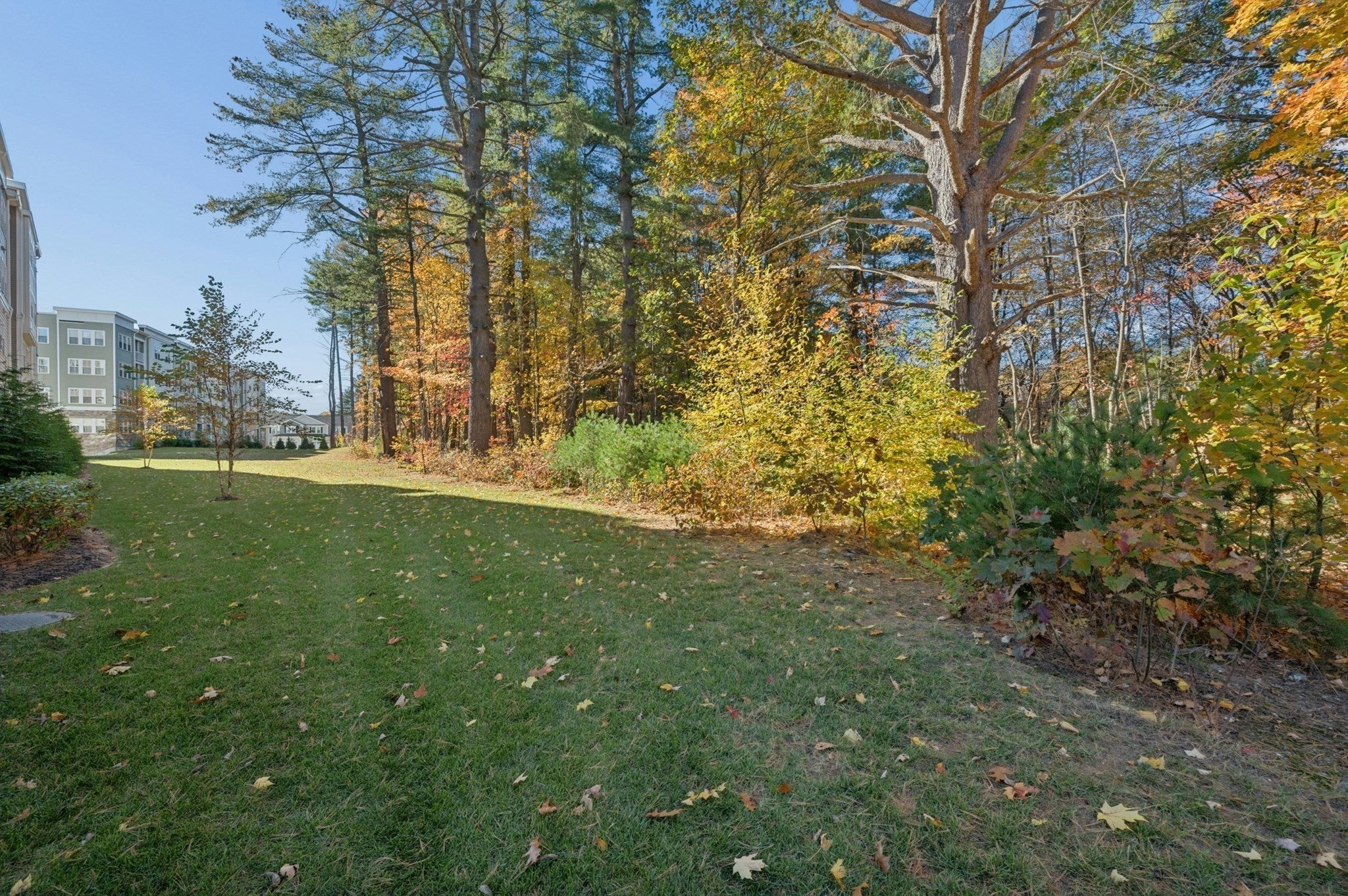 2 Winslow Ln #207, Grafton, MA Photo #41