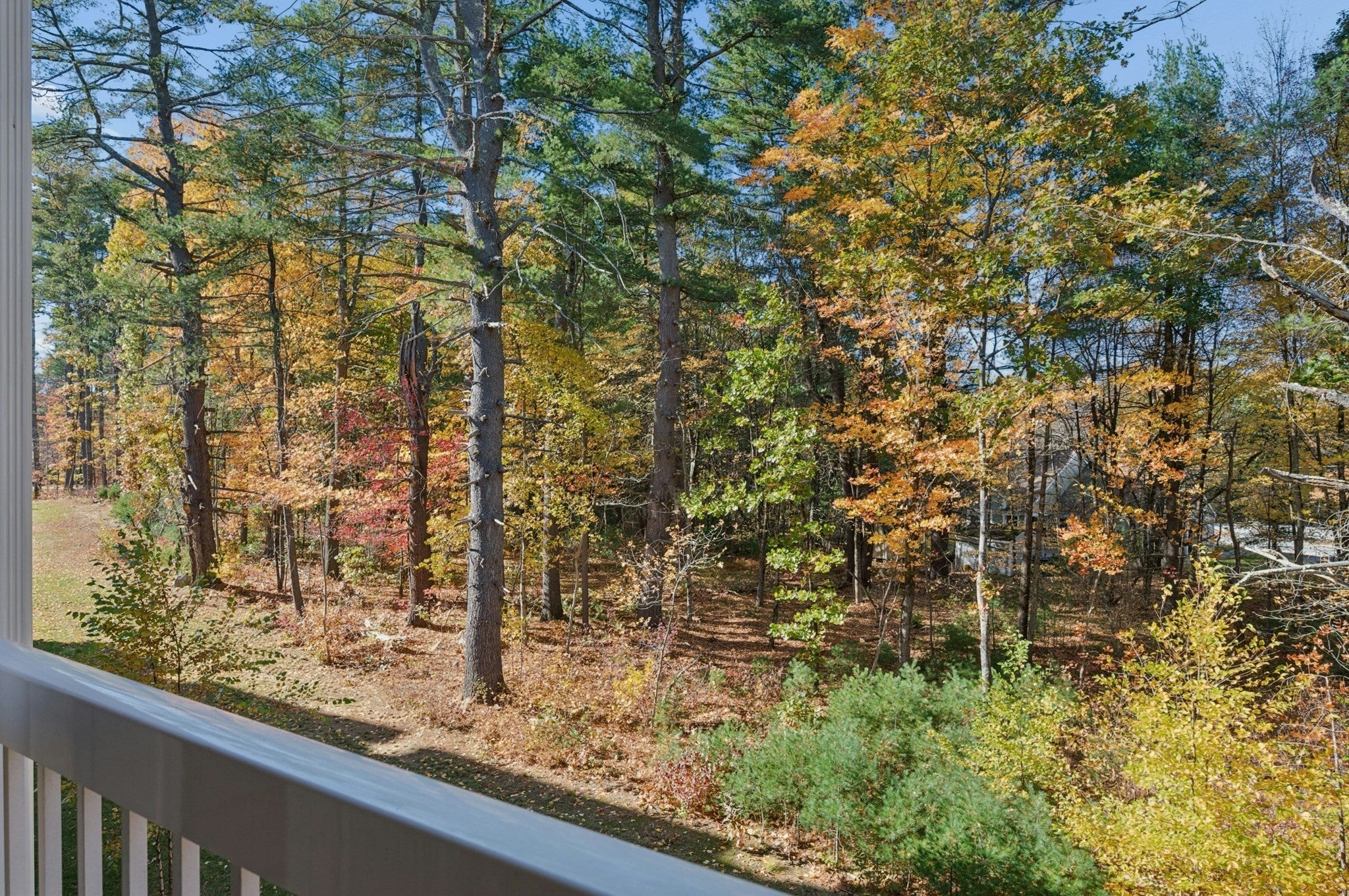 2 Winslow Ln #207, Grafton, MA Photo #23