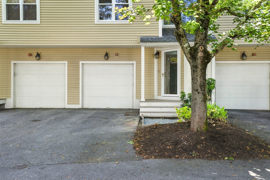 19 Hammond Place 19