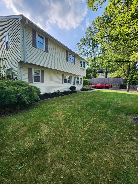 19 Cypress