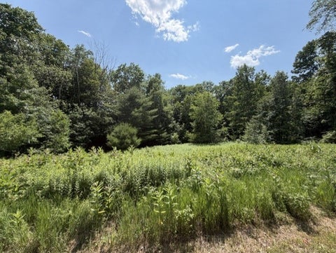 Photo for 25 Deer Run