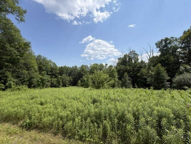 25 Deer Run