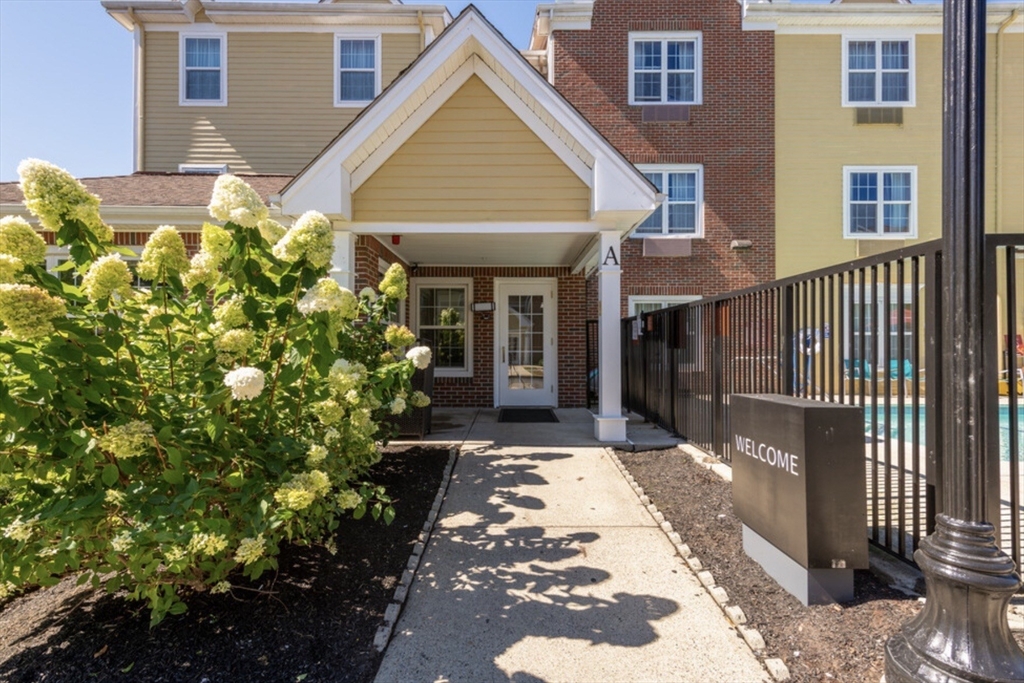 20 International Place 310