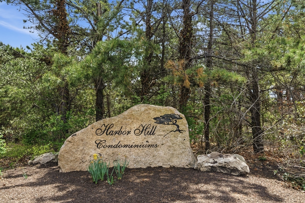 11 Harbor Hill Drive #11, Bourne, MA Photo #36