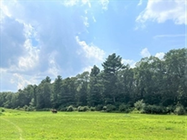 Lot 000 Summer Street