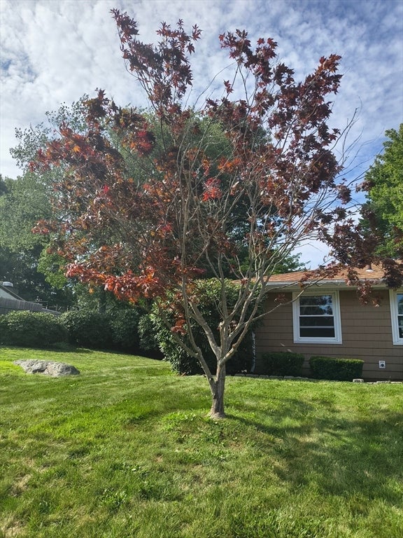 28 Delmar Road, Brockton, MA, 28 Delmar Road, Brockton, MA Photo #6