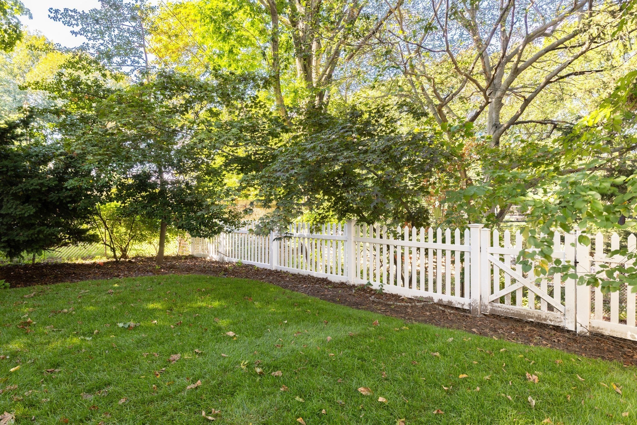 249 Clinton Rd, Brookline, MA, 249 Clinton Rd, Brookline, MA Photo #27