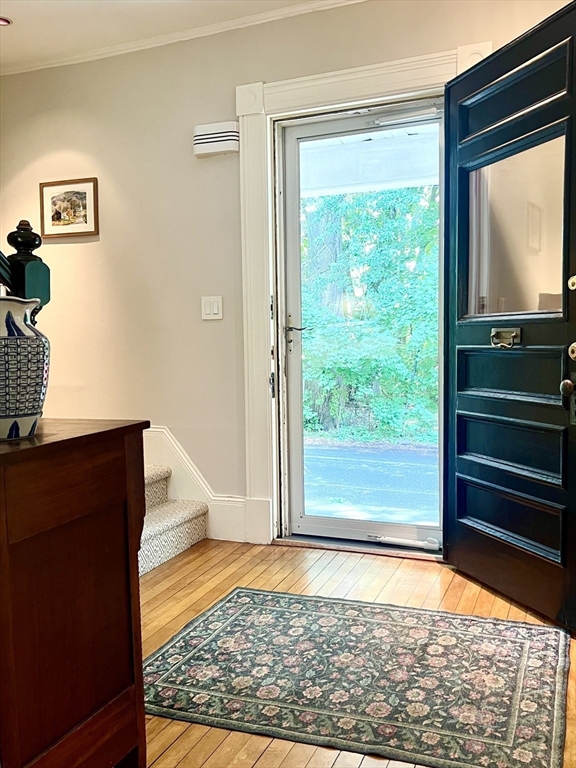 33 Gaylord Street