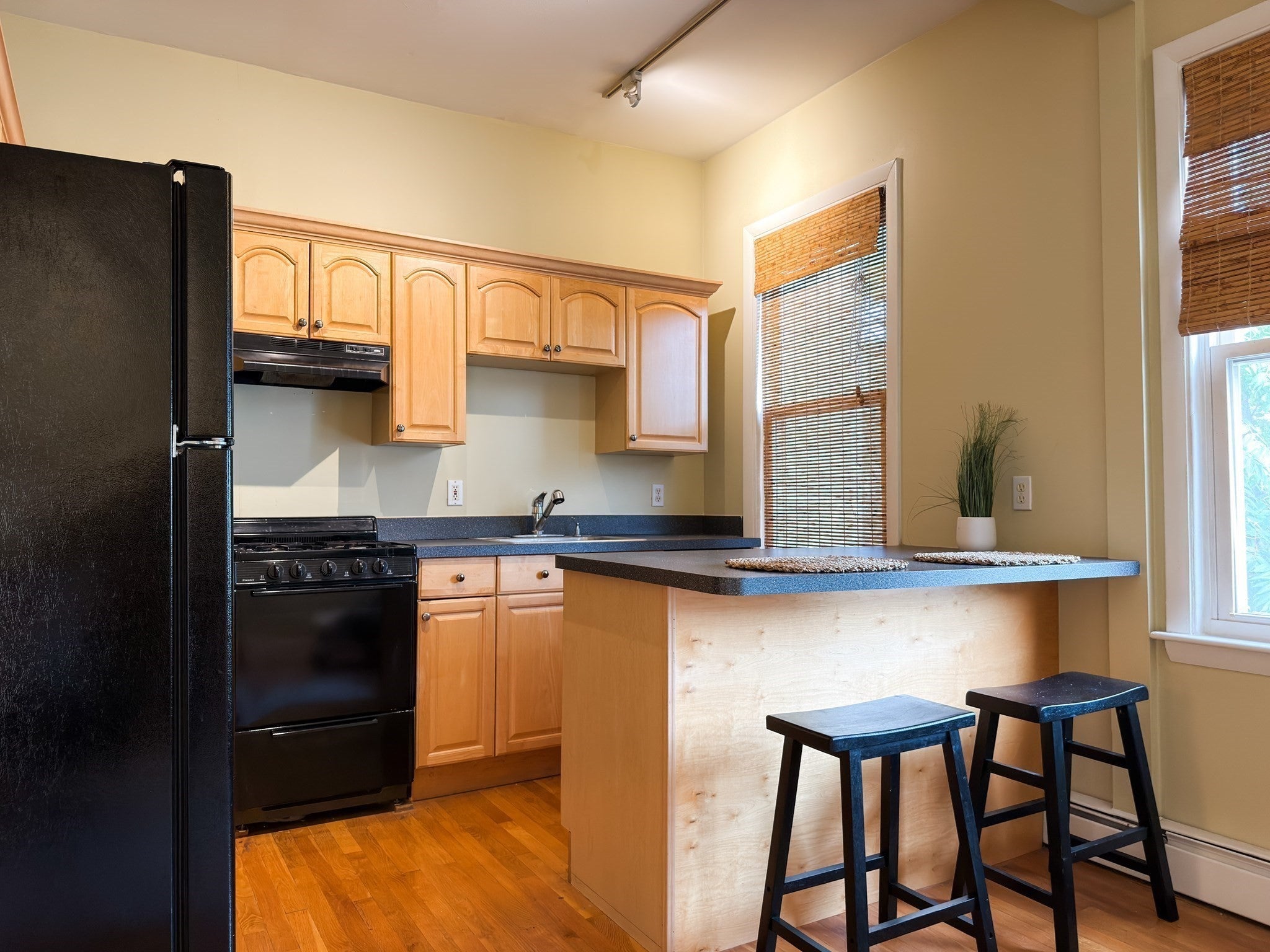 392 Norfolk St #2, Cambridge, MA Photo #4