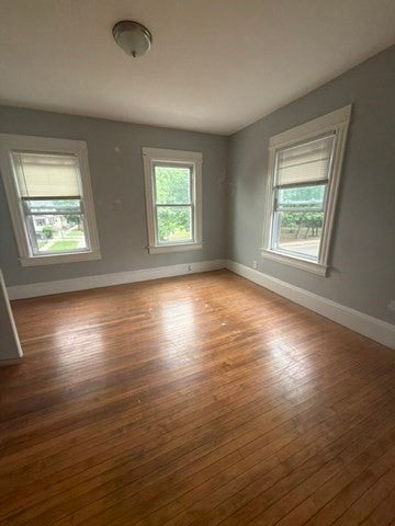 335 Oakland St, Springfield, MA Photo #6