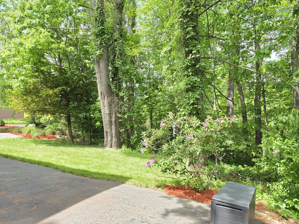 84 W Union St