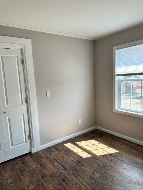 18 Maplewood Ave, Chicopee, MA, 18 Maplewood Ave, Chicopee, MA Photo #15