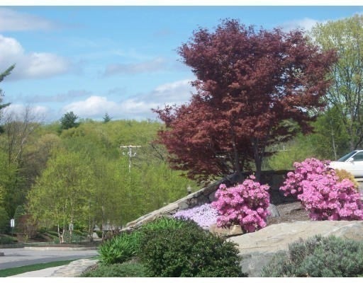 1202 Hazelwood Way #1202, Clinton, MA Photo #31