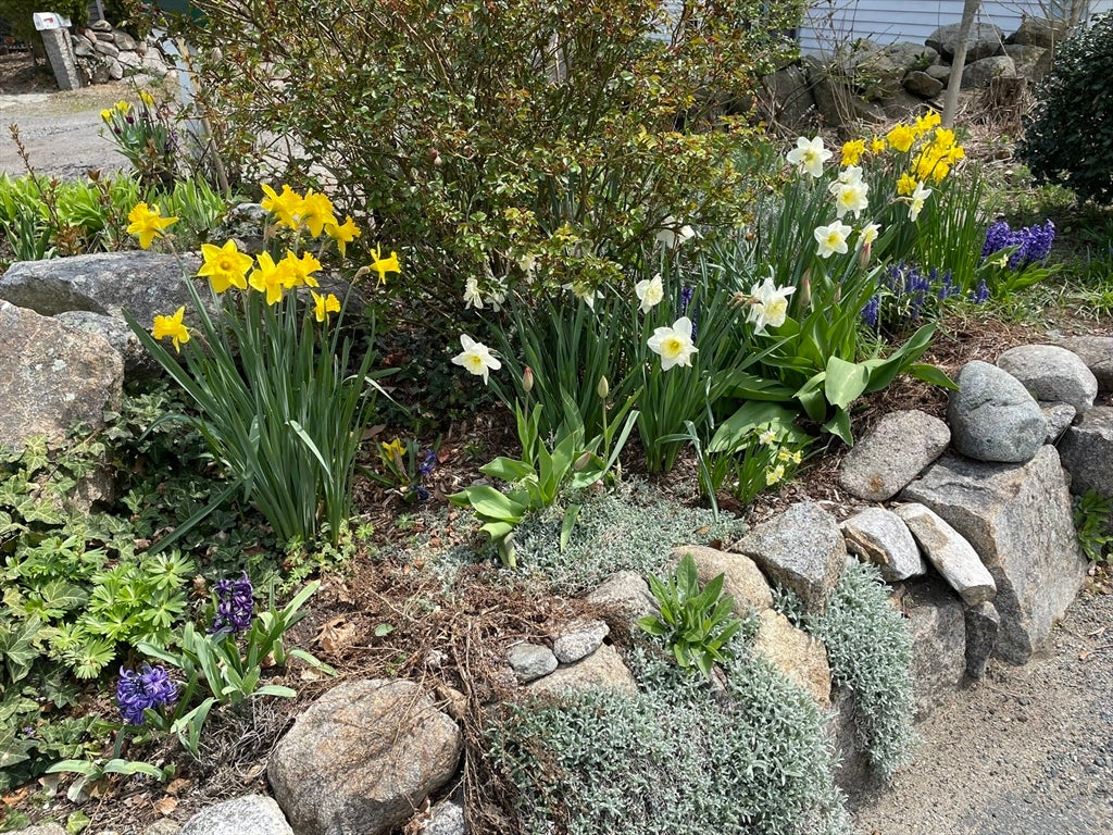 17 Highland Street #1, Rockport, MA Photo #37