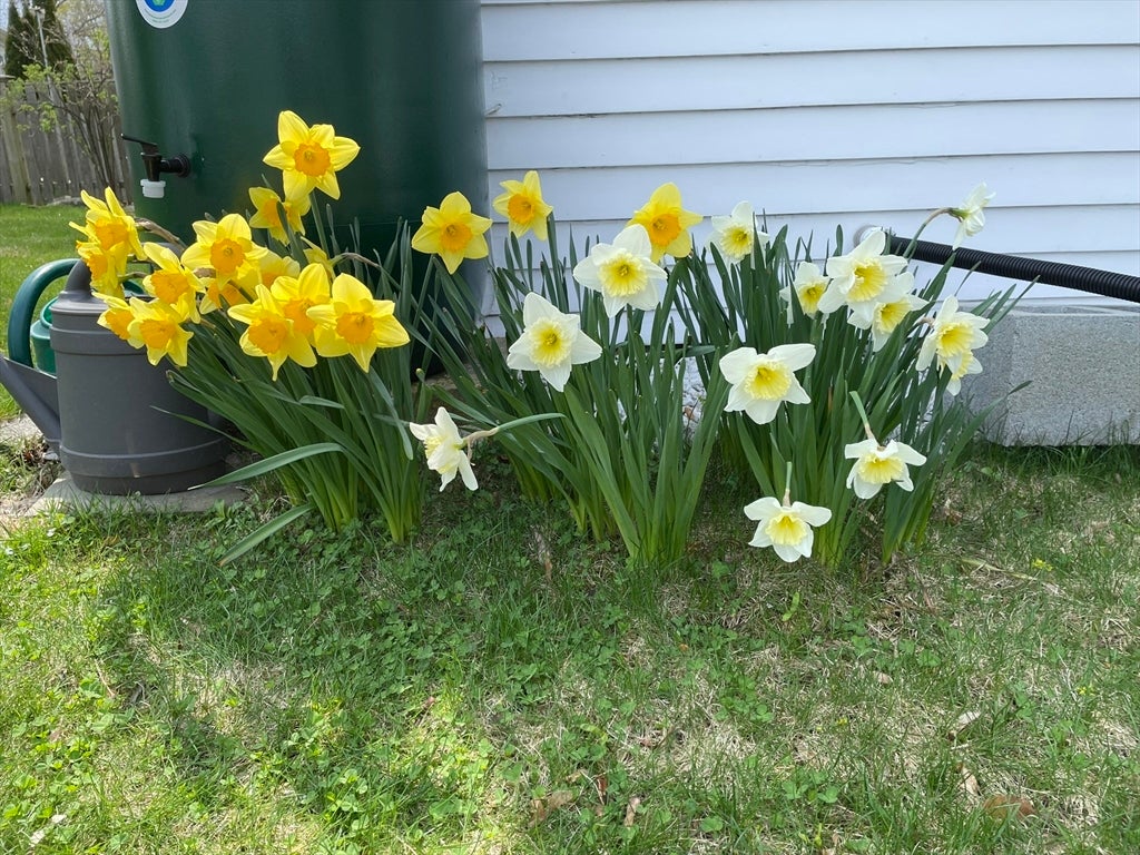 17 Highland Street #1, Rockport, MA Photo #38
