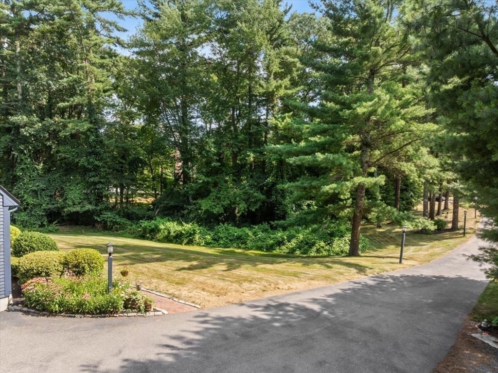 50 Heather Hills
