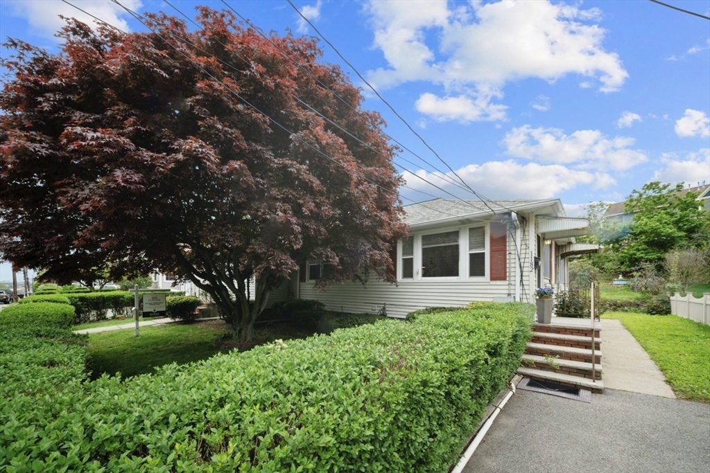 1180 Main Street #2, Waltham, MA Photo #1