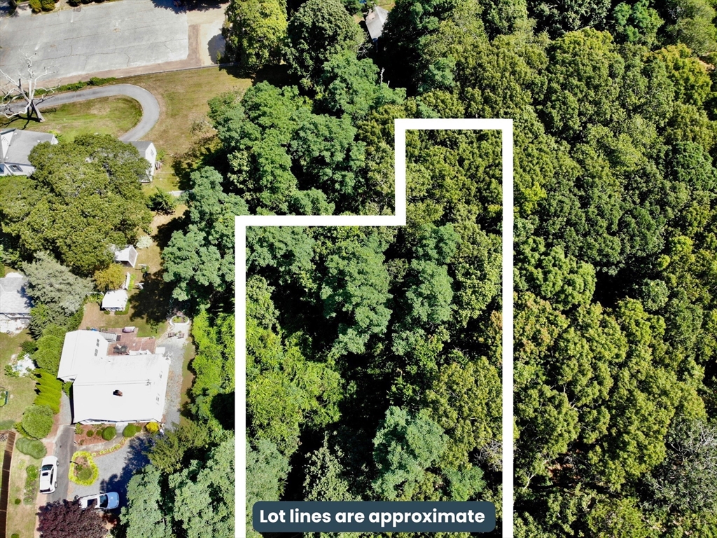 51 Commonwealth Avenue