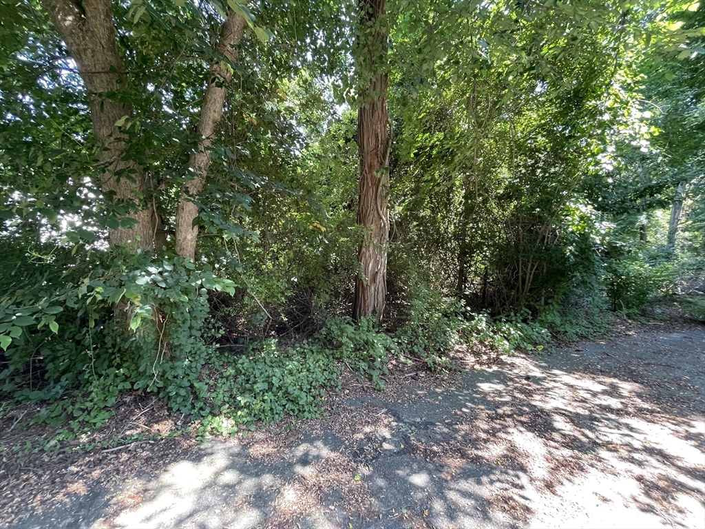 51 Commonwealth Avenue