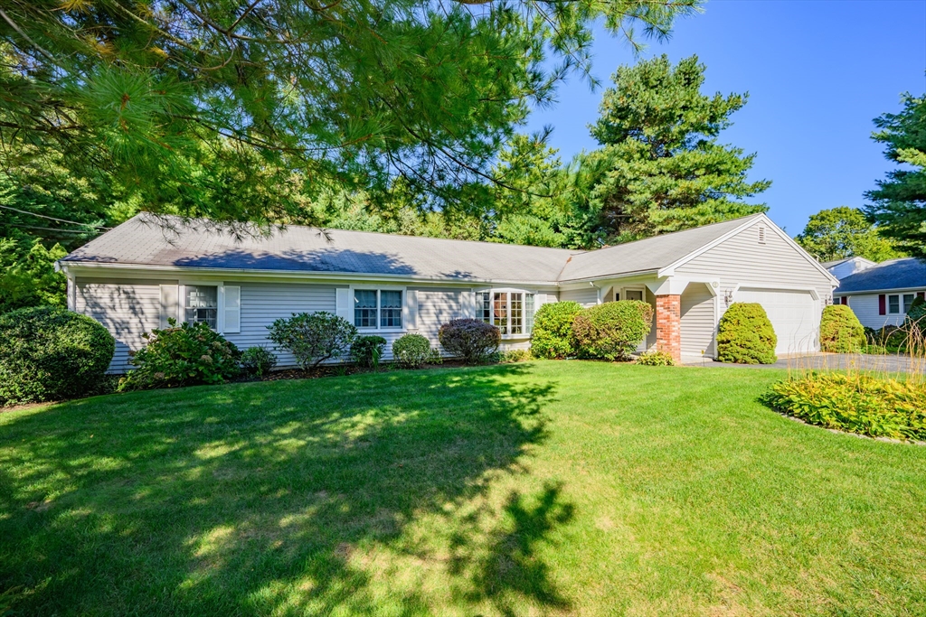 87 Foxglove Rd