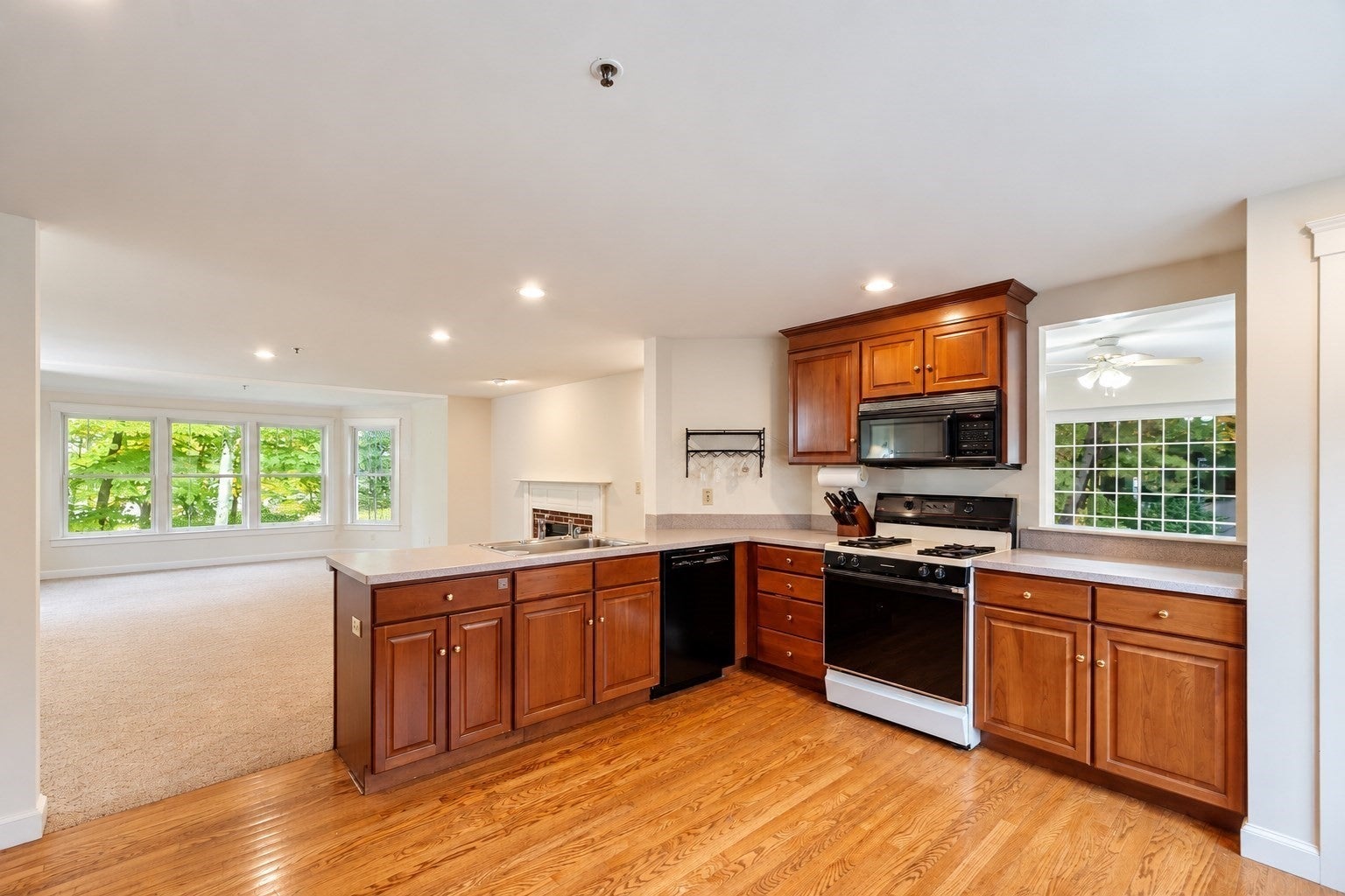 17 Wintergreen Ct #17, Lunenburg, MA, 17 Wintergreen Ct #17, Lunenburg, MA Photo #23