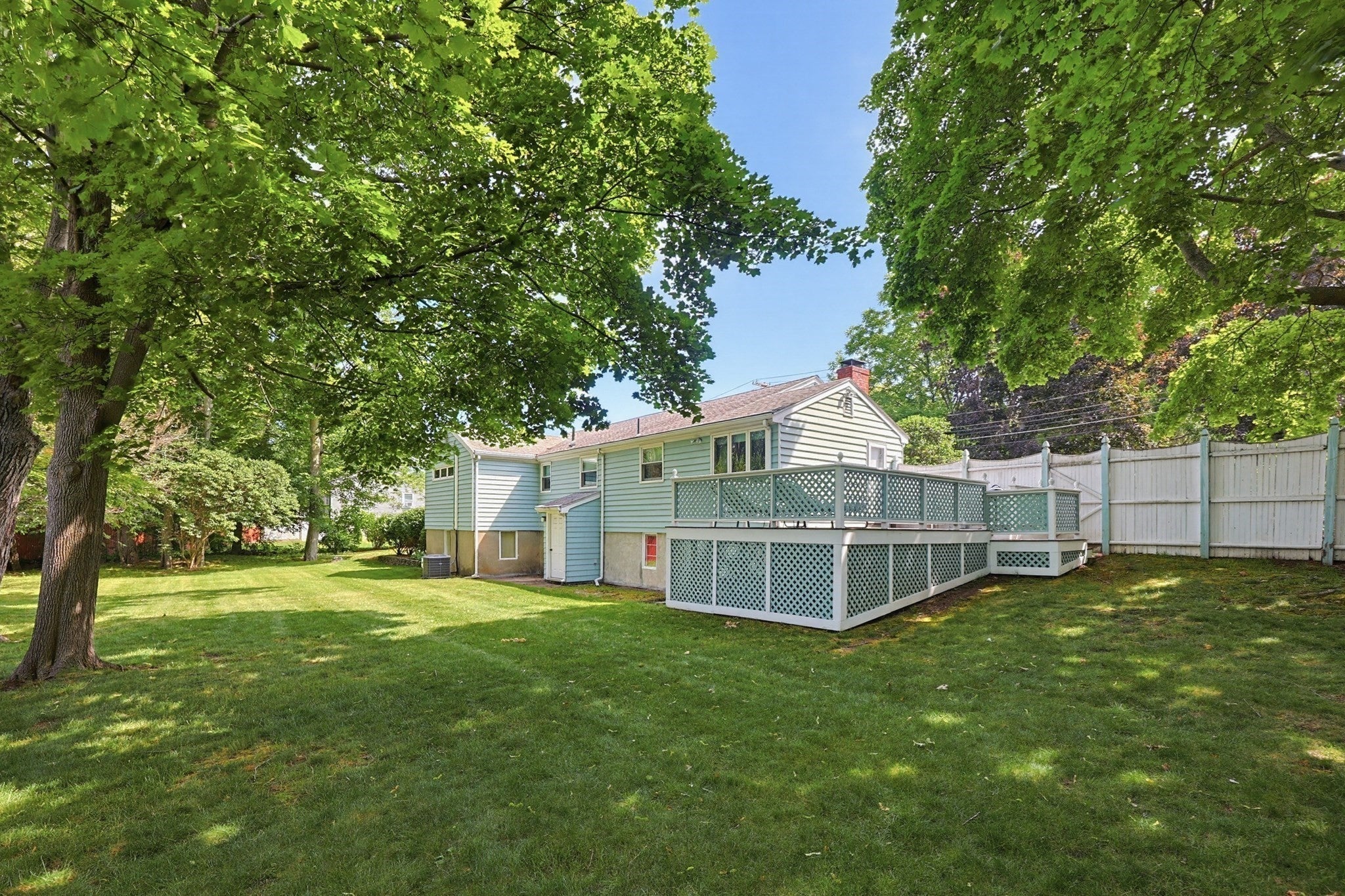 11 Preston St
