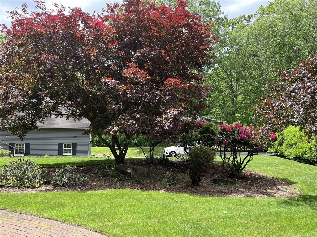 67 Porter Road