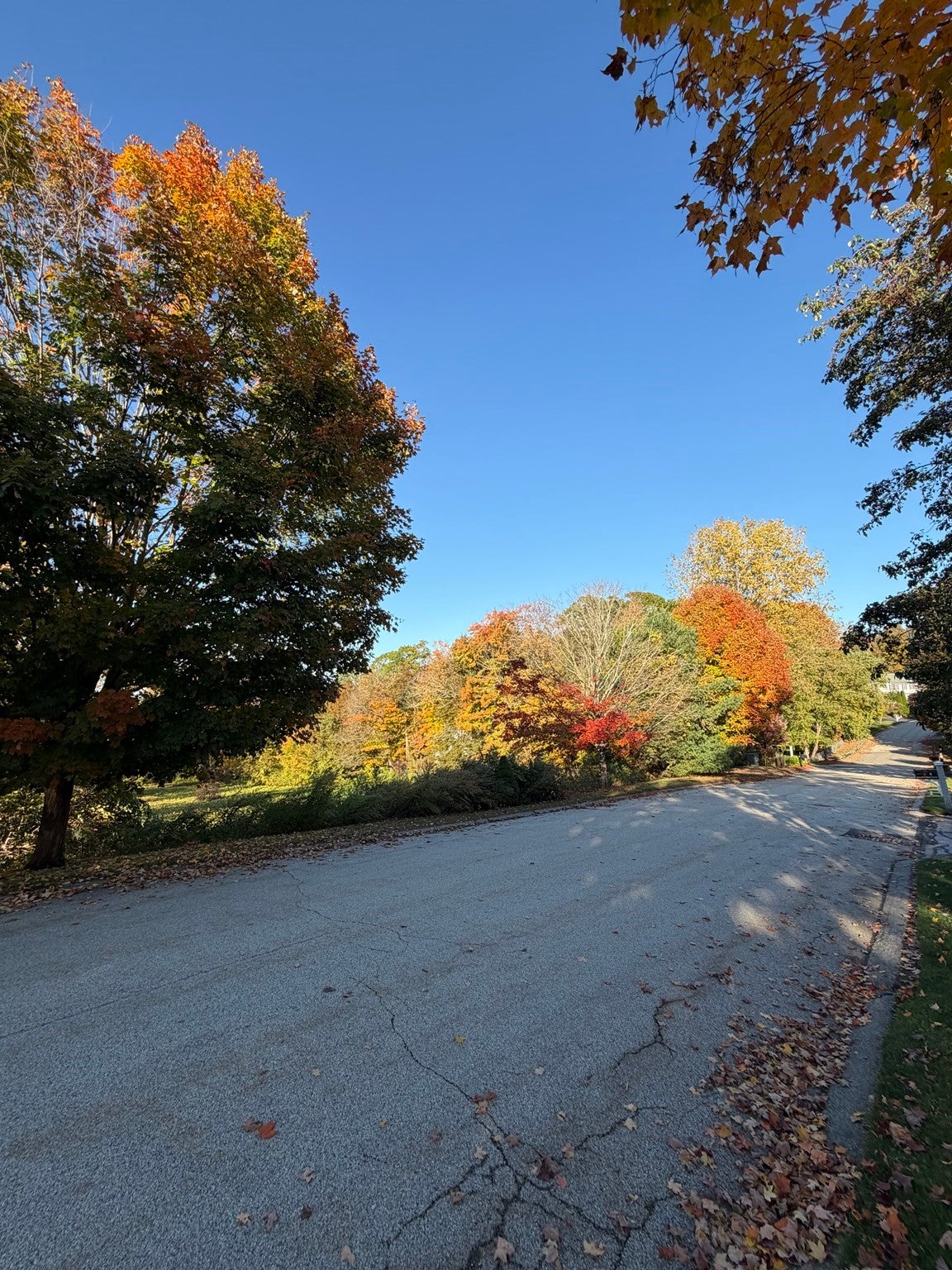 Lot 3 Hilltop Farm Road